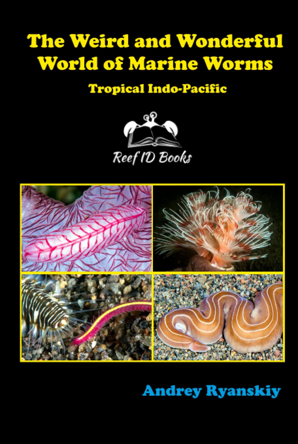 The Weird and Wonderful World of Marine Worms: Tropical Indo-Pacific (Coral Reef Academy: Indo-Pacific Photo Guides)