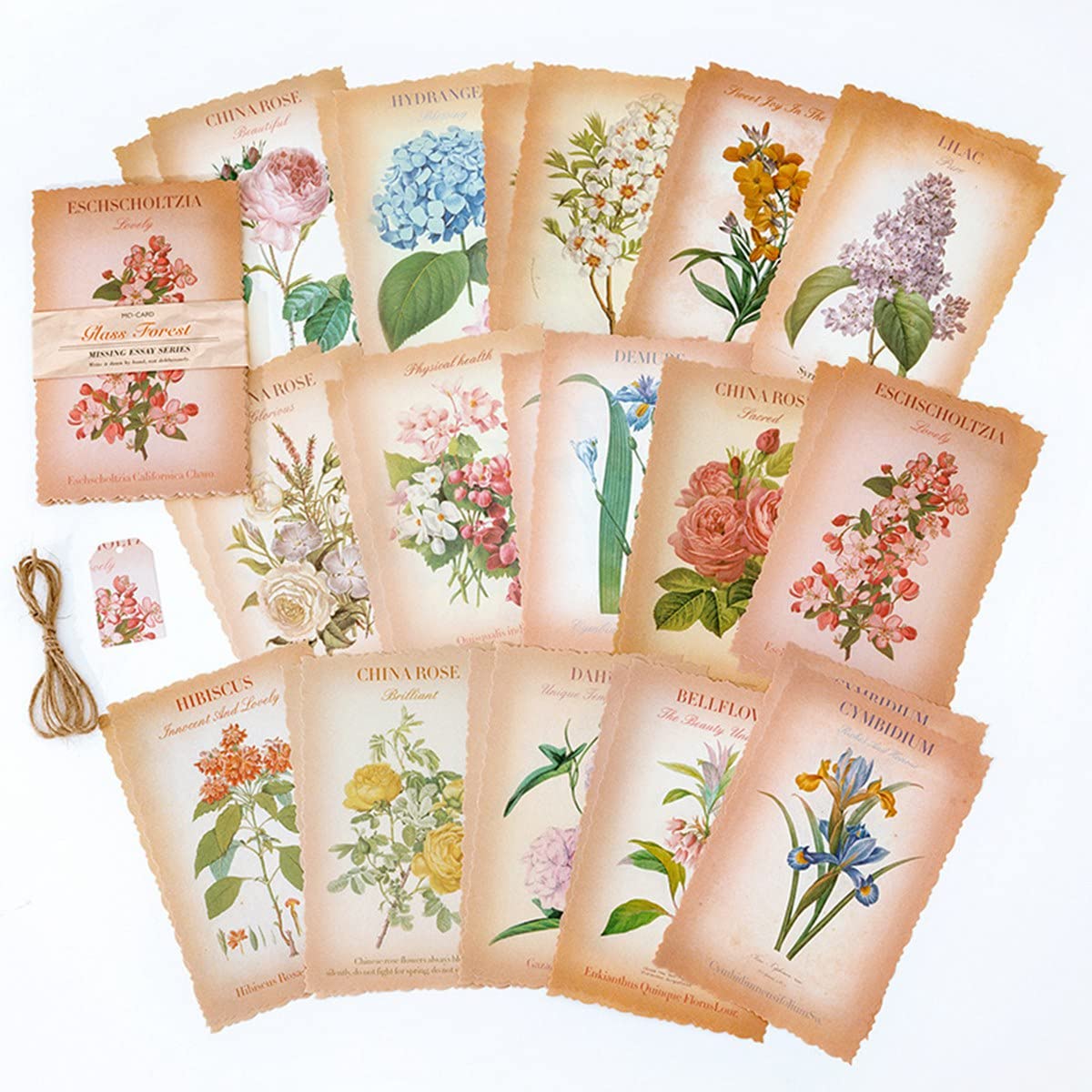 Hduacuge 180 fogli Scrapbook Carta Arte Diario Forniture Vintage Journaling Scrapbooking Craft Kit per Junk Journal Planner