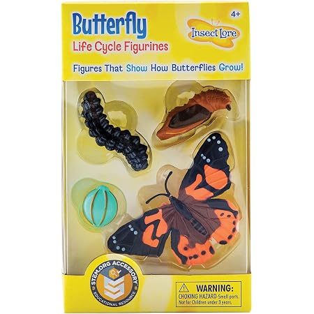 Pourquoi offrir un observatoire à insectes à votre enfant Pourquoi offrir un observatoire à insectes à votre enfant