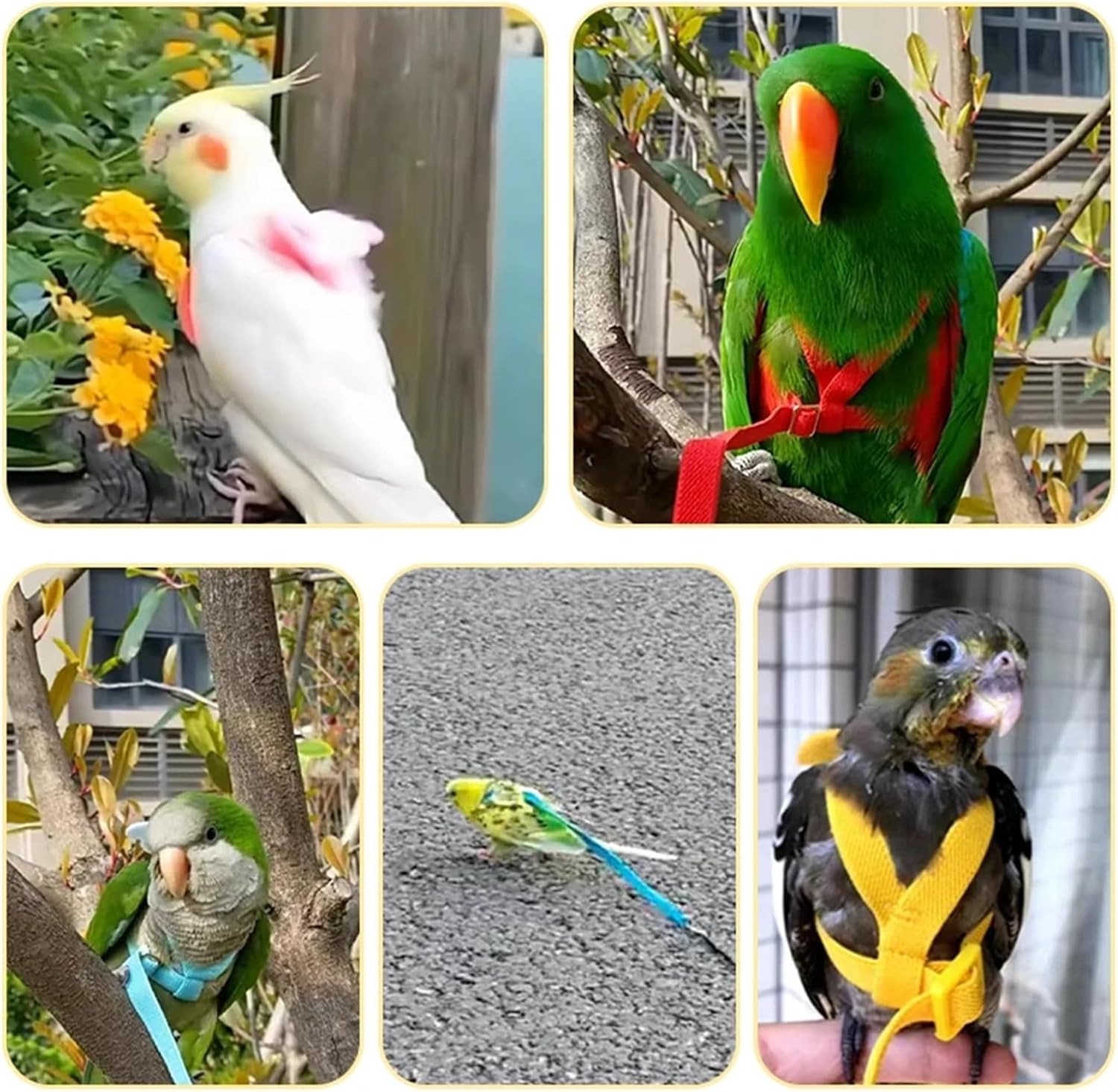 Bird Leash 8pcs Portable Bird Harness Leash - Elastic Adjustable Rope with Cute Wings for Parrot(Yellow)