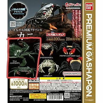 BANDAI - いきもの大図鑑アドバンス　かに　4種コンプ　ソデカラッパ　アミメノコギリガザミ他 Amazon.co.jp: ガチャ アミメノコギリガザミ カニ いきもの大