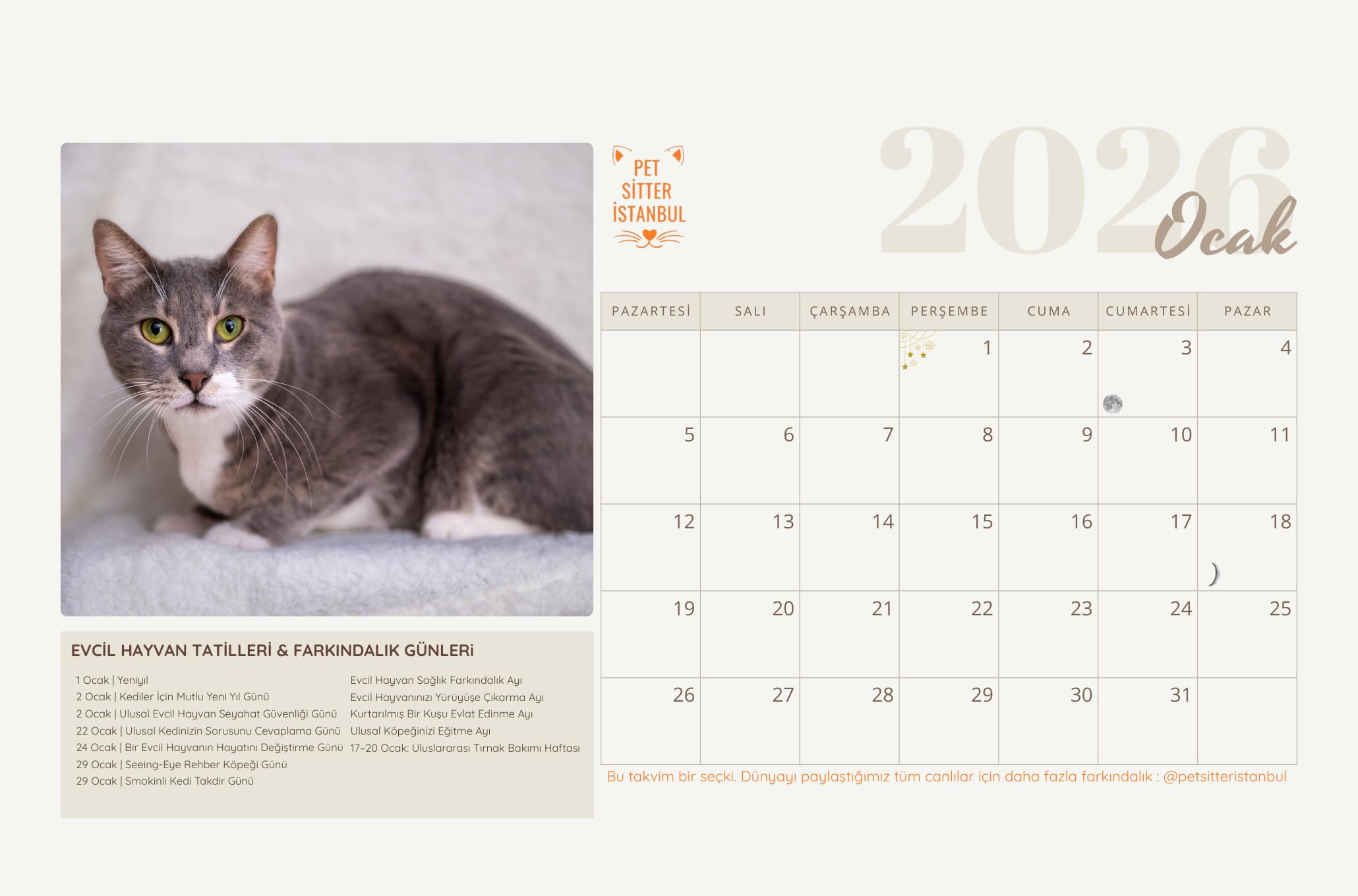 Pet Sitter Istanbul 2026 Takvim, Kurtarılan Kediler ve Farkındalık Günleri, Evcil Hayvan Tatilleri Temalı Masa Takvimi