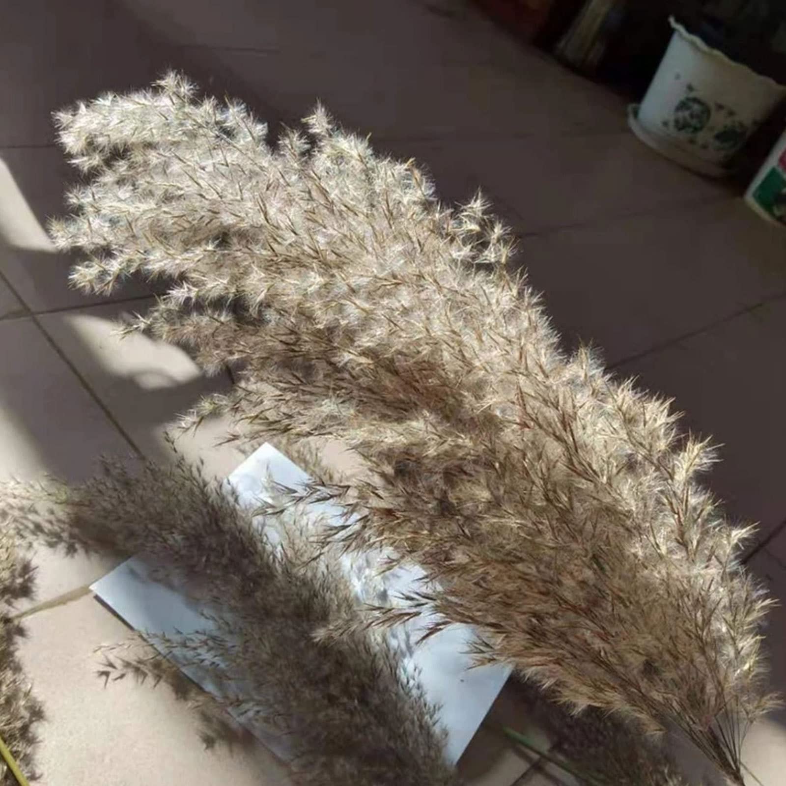 Herbe de Pampa séchée Naturelle Grande, 23 Pouces de Hauteur Wild Pampas Grass Fluffy Pompas Floral, Utilisé pour Le Mariage et la décoration de la Maison Boho Fleurs séchées,Brown-30Stems