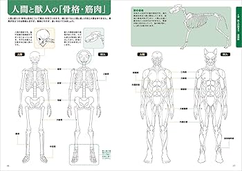 獣人ポーズ集 (超描けるシリーズ) | 山羊 ヤマ, むらき, ひつじロボ 獣人ポーズ集 (超描けるシリーズ) | 山羊 ヤマ, むらき, ひつじロボ