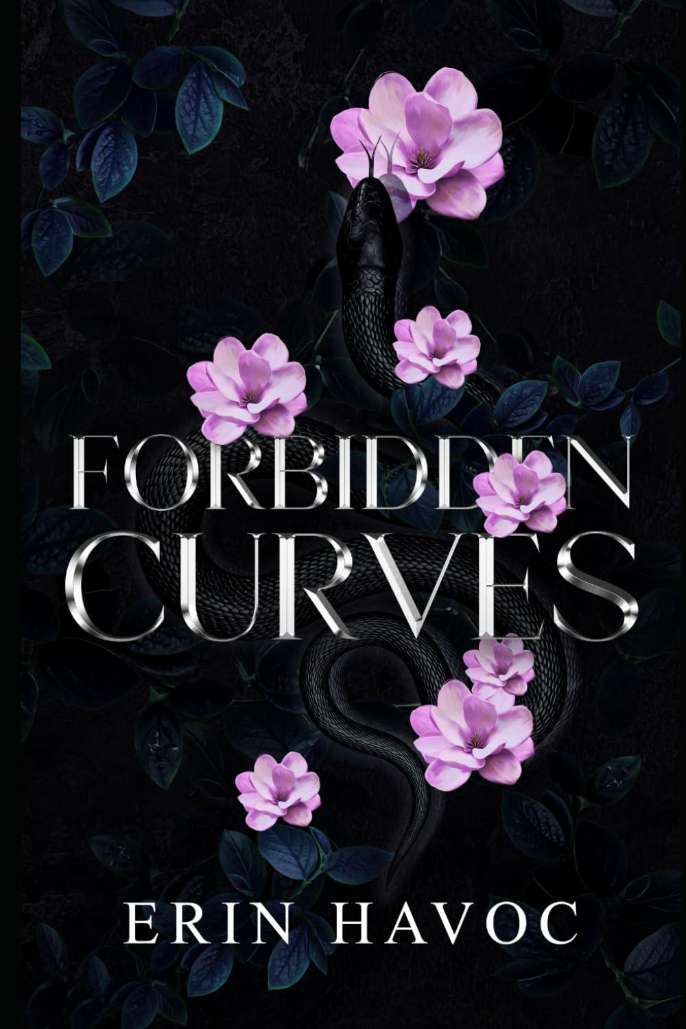 Forbidden Curves: Books 14-26: A curvy romance series