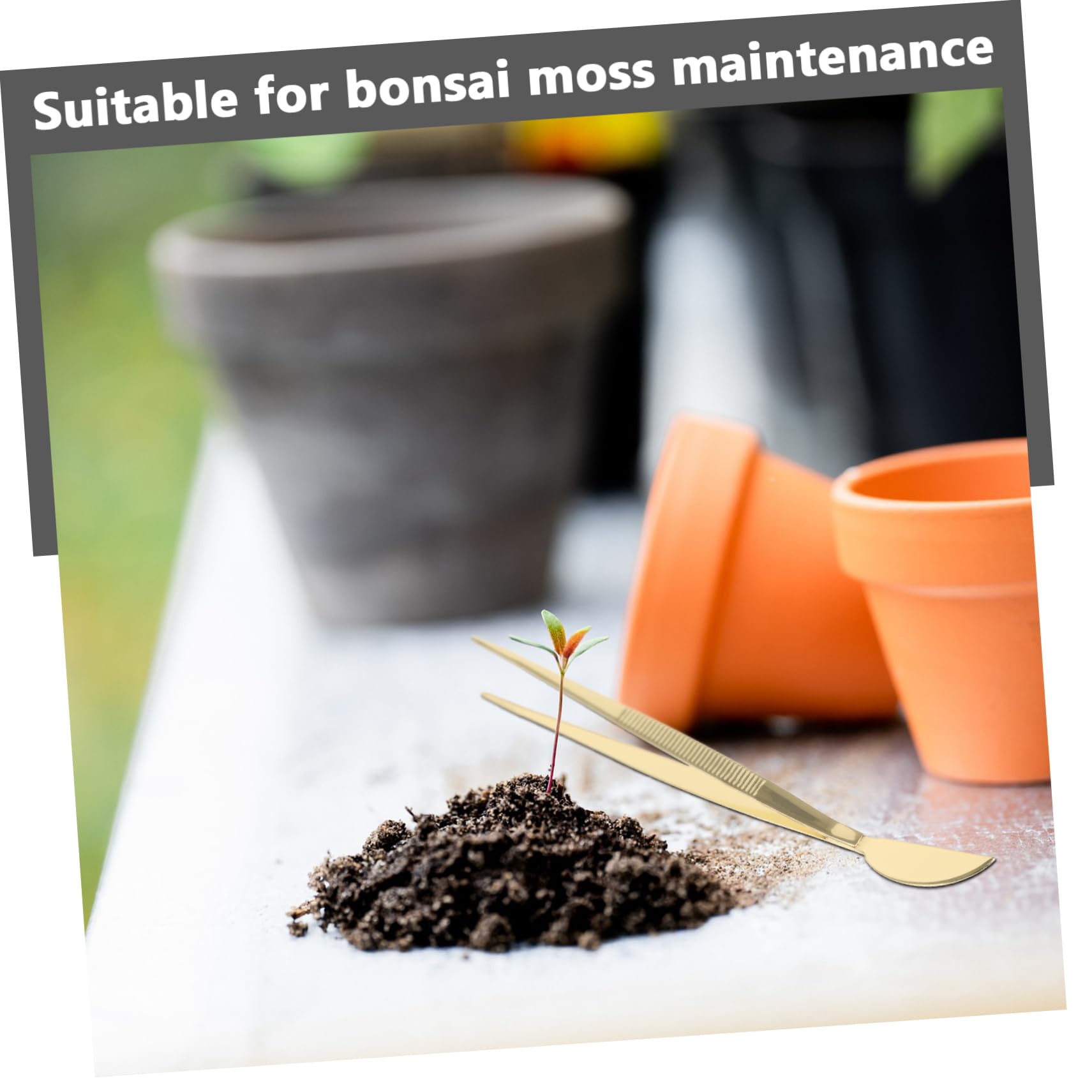 Mipcase Garden Bonsai Tool Precision Tweezers Scraper Stainless Steel for Bonsai Moss Arrangement