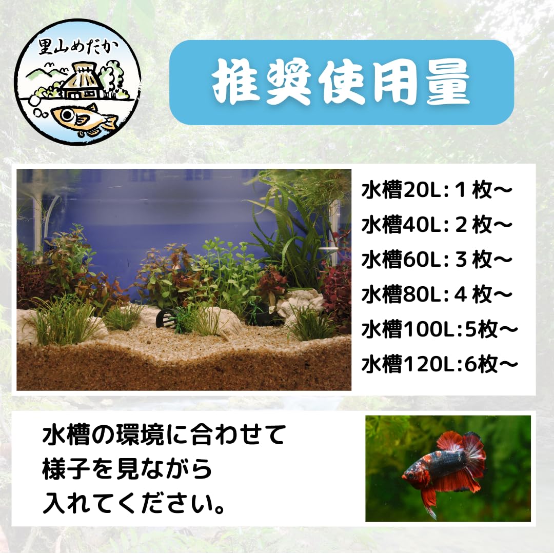 Amazon.co.jp: 里山めだか マジックリーフ モモタマナ 国産 水質改善