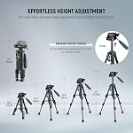 NEEWER Basic Mini Desk Tripod for Camera with 3 Way Pan Tilt Head & Handle, Small Portable Metal Tabletop Selfie Stick Stand with 1/4" Screw for DSLR Vlog Video Recording, Max Load 13.2lb, TP02
