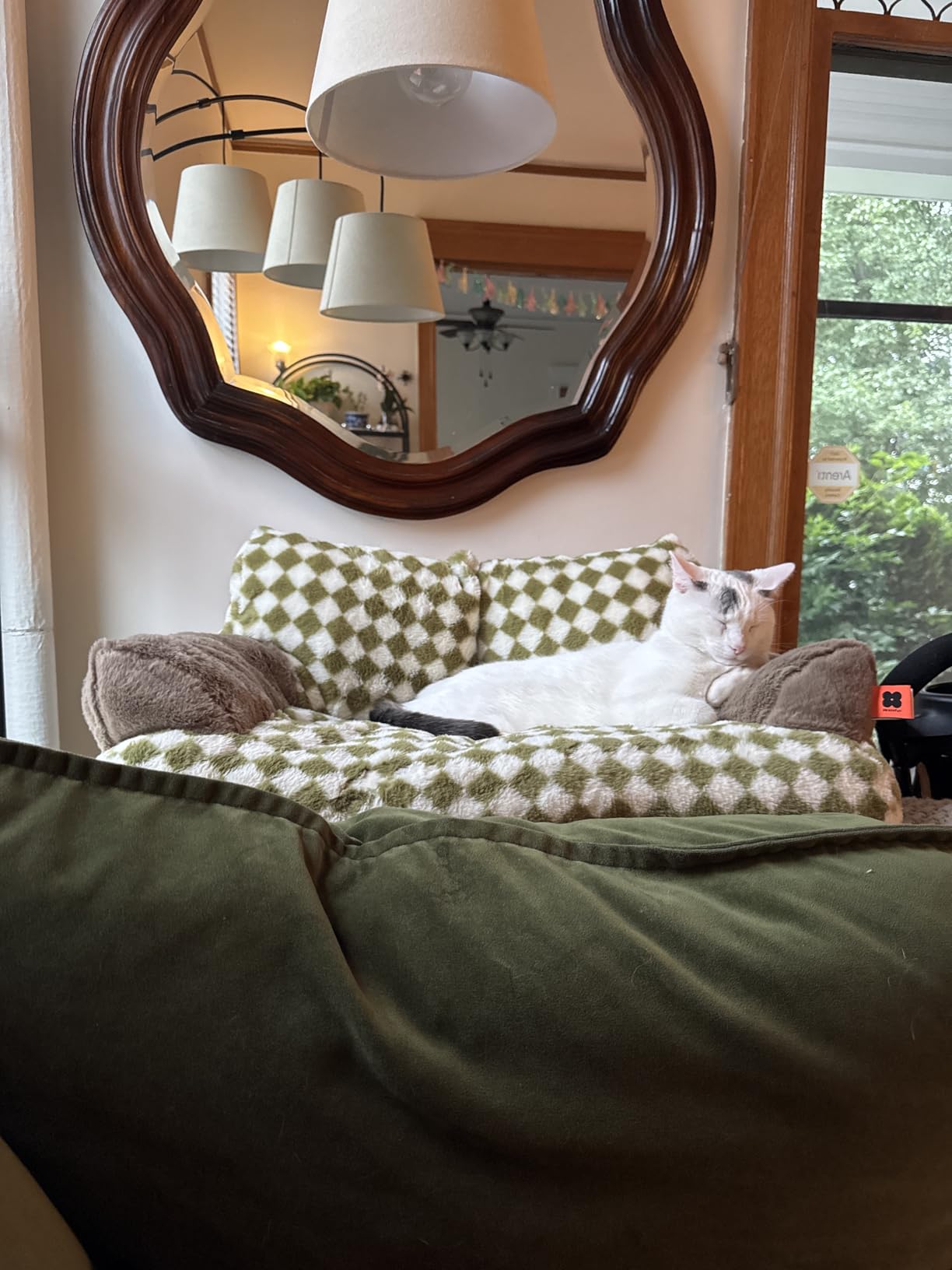 MEWOOFUN Cat Bed for Indoor Cats, Washable Dog Beds for Small Dogs & Cats with Removable Cover, Fluffy Cat Couch with Non-Slip Bottom (Grey, 26.0" L X 19.0" W X 13.0" Th) photo review