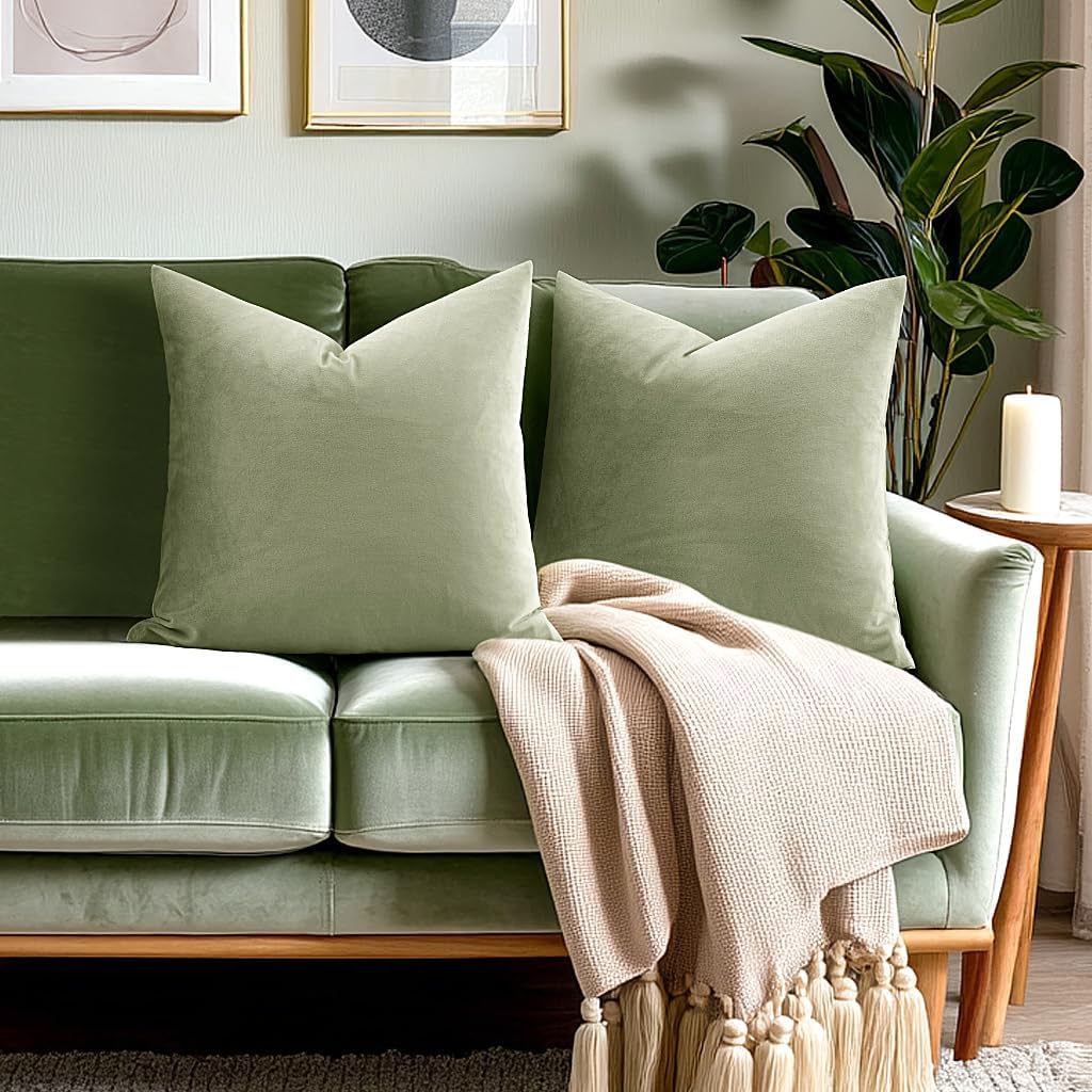 20x20 Velvet Pillow Covers Set of 2 Sage Green Decorative Square Throw Pillowcase Soft Solid Cushion Covers for Bedroom Living Room Outdoor Indoor Decoration
