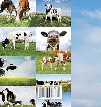 邦楽 COW COW was INNOCENT. 邦楽 COW COW was INNOCENT. 邦楽 COW COW was INNOCENT. Cows