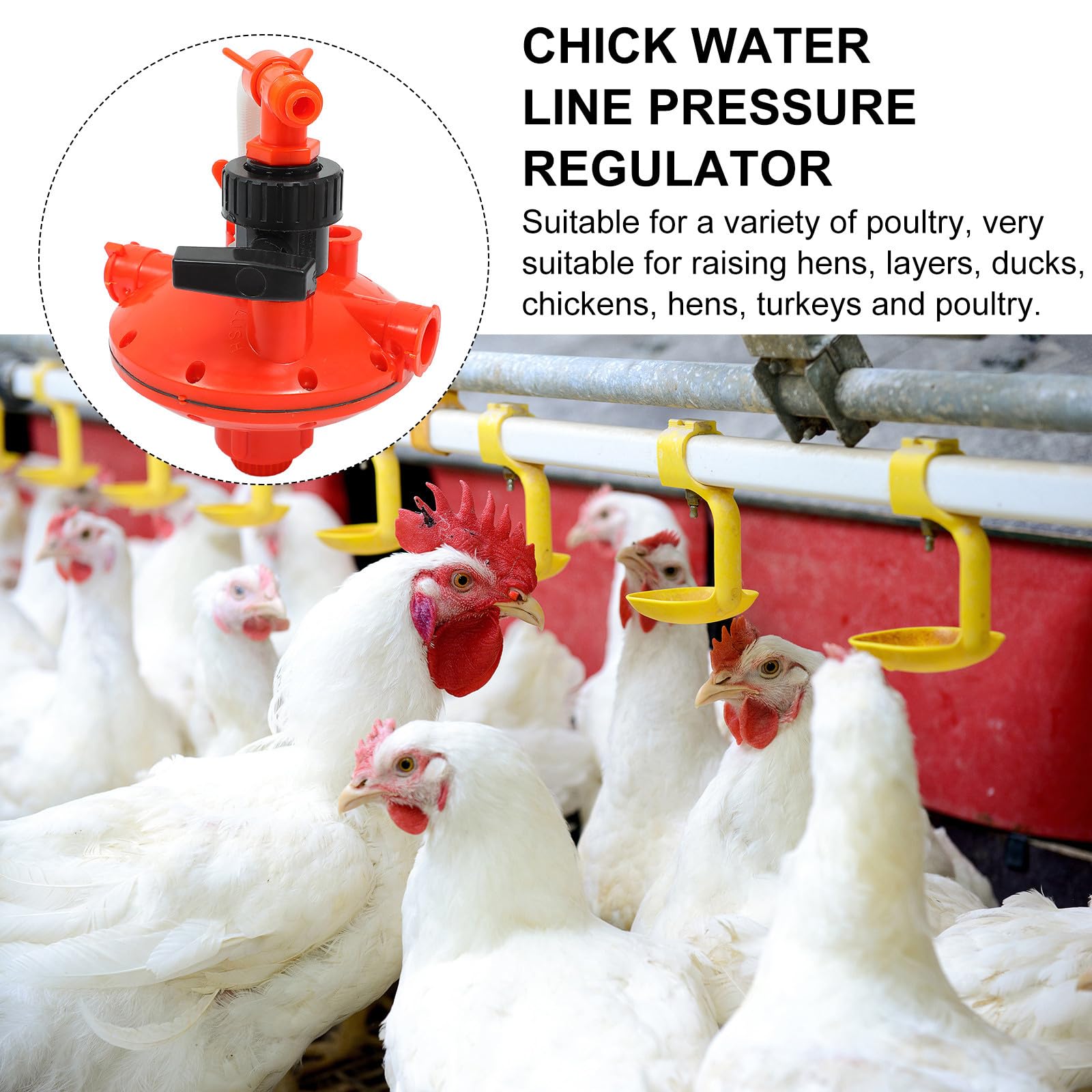 Abbeveratoio Galline Automatico Rosso in Plastica per Allevamento | Valvola Regolazione Pressione, Controllo Perdite, Accessorio Leggero per Tubo Acqua