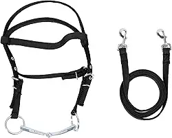 Rédea de Freio de Cavalo, Cabeça de Cavalo Ajustável Elegante de Nylon Com Rédeas, Freio de Sobrancelha, Freio de Adestramento para Passeios Em Trilha, Suprimentos Equinos