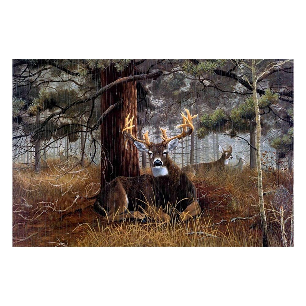 Tableau cerf forêt haut de gamme encadré format 40x60 cm