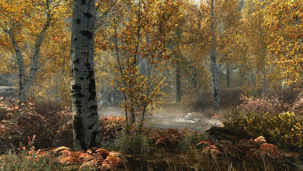 The Elder Scrolls V: Skyrim - Édition Spéciale [Importación Francesa]