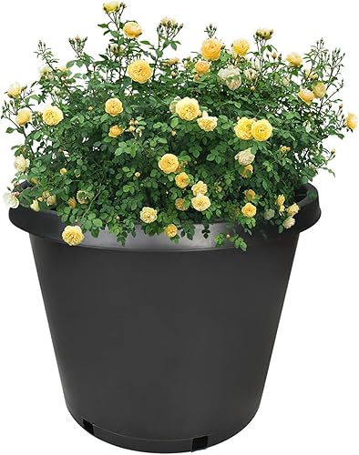 Miniatura 2 de Paquete de 5 macetas redondas de 15 galones de alta calidad para plantas de jardín para plantas de interior y exterior, plántulas, flores, verduras,