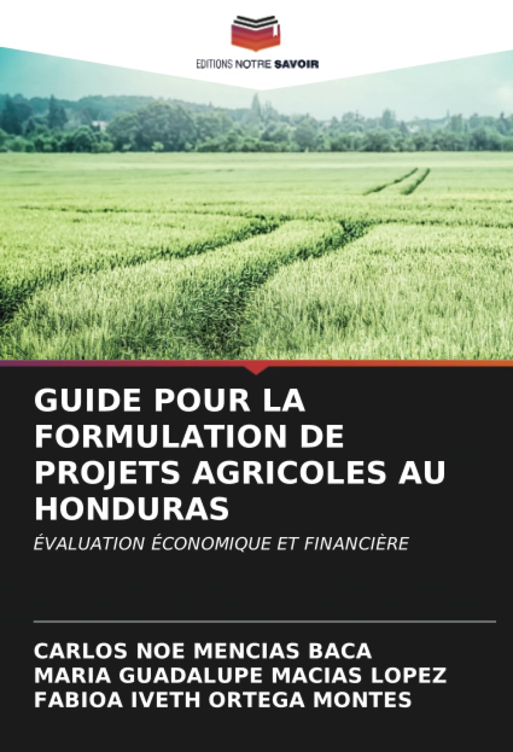 GUIDE POUR LA FORMULATION DE PROJETS AGRICOLES AU HONDURAS: ÉVALUATION ÉCONOMIQUE ET FINANCIÈRE Paperback – 22 December 2023