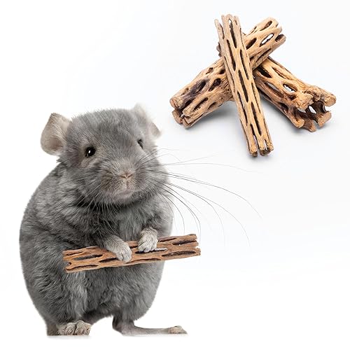 SubstrateSource Natural Cholla Wood - Driftwood for Aquariums, Air Plant