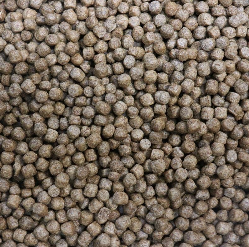 Swell UK Pro Koi Health Plus Pellet Pond Fish Food (2kg)