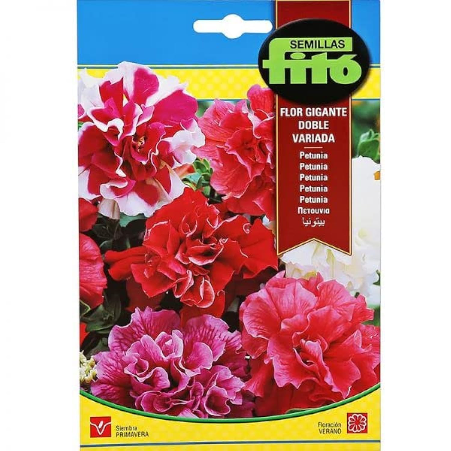Petunia Multiflora Hybrid Double Mixed Premium Quality Seeds by Fitó"Garden Care"