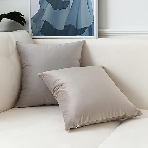 Miniatura 3 de MYCDXE Juego de 4 fundas de almohada de 18 x 18 pulgadas, juego de 4 fundas decorativas cuadradas suaves de terciopelo para sofá, sala de estar y