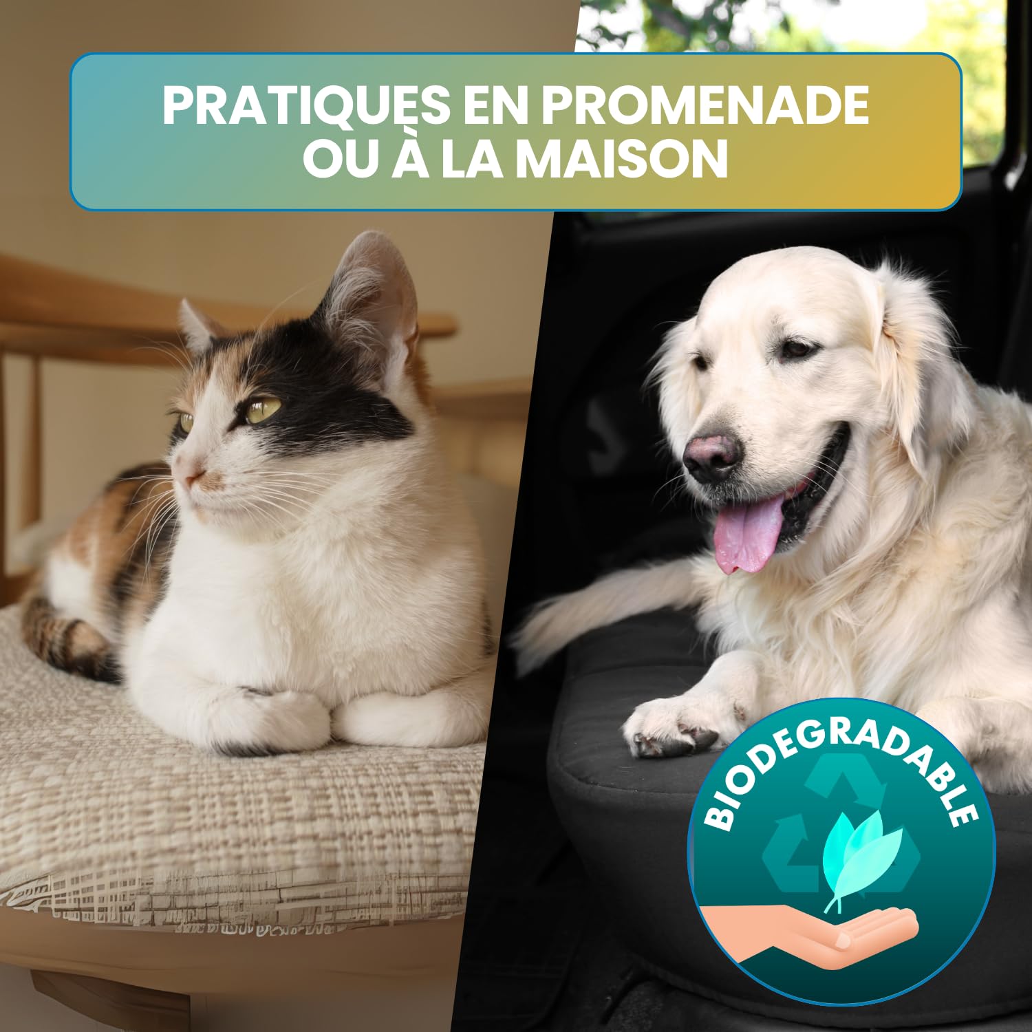 Lingettes Chien & Chat Nettoyantes et Hydratantes (1000 unités) – Lingettes Animaux pour Yeux, Oreilles, Pattes et Pelage – Hygiène Quotidienne Animaux – Lot 20 x 50 Lingettes