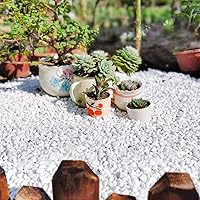 Vista 4 de Grava para suculentas y cactus de 10 libras, guijarros pulidos decorativos naturales blancos de 1/5 pulgadas para paisajismo, rocas de río