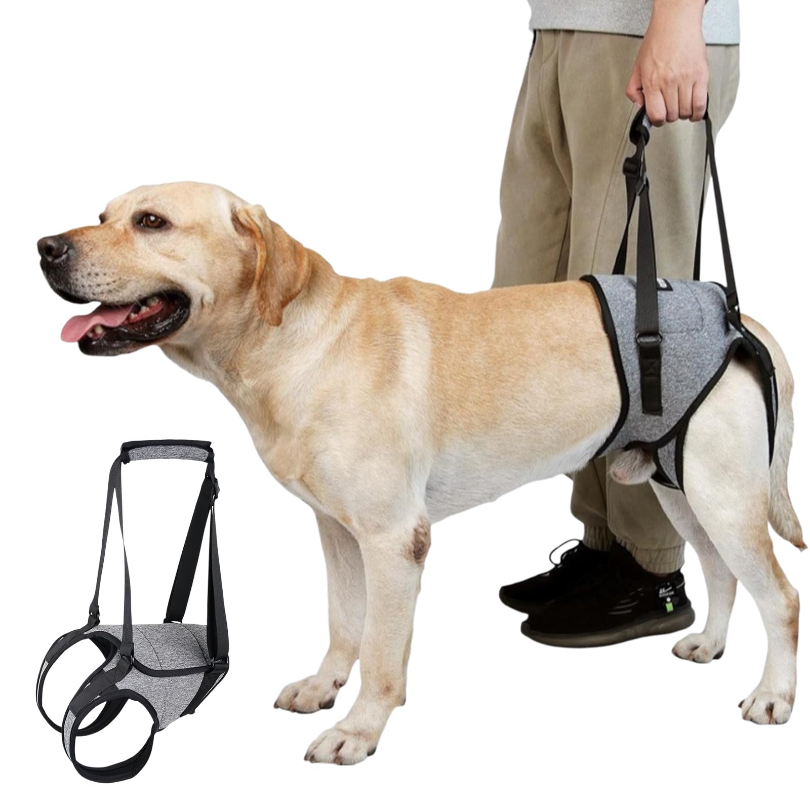 Spoworovi Dog Lifting Harness, Comfortable & Soft Dog Sling for Back Legs, Adjustable Recovery Mobility Aids for Senior, Injured, Arthritic, Disabled and Aid After Acl Surgery (Grey, S)