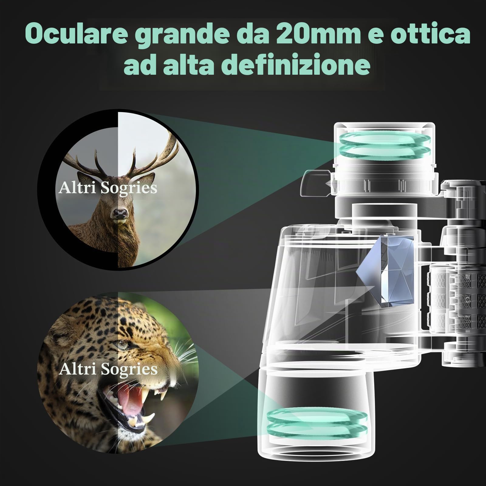 Binocolo con zoom 6-16x40 per adulti, binocolo militare ad alta potenza per bird watching, viaggi, caccia, concerti con ampia vista, BAK4, obiettivo FMC, visione chiara in condizioni di scarsa
