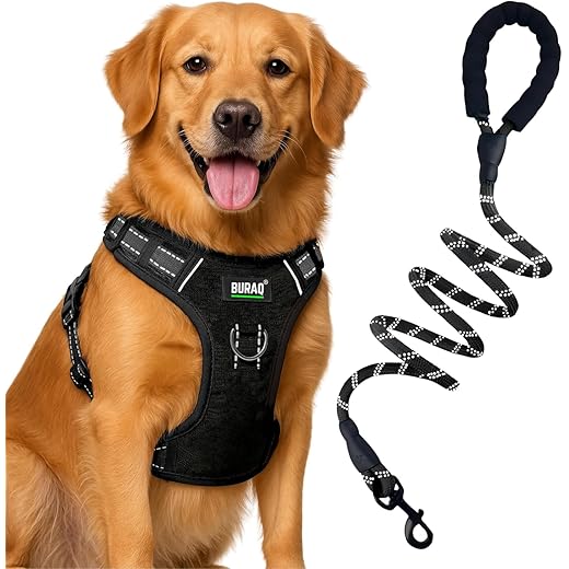 Buraq No-Pull Dog Harness + Leash, Black, M