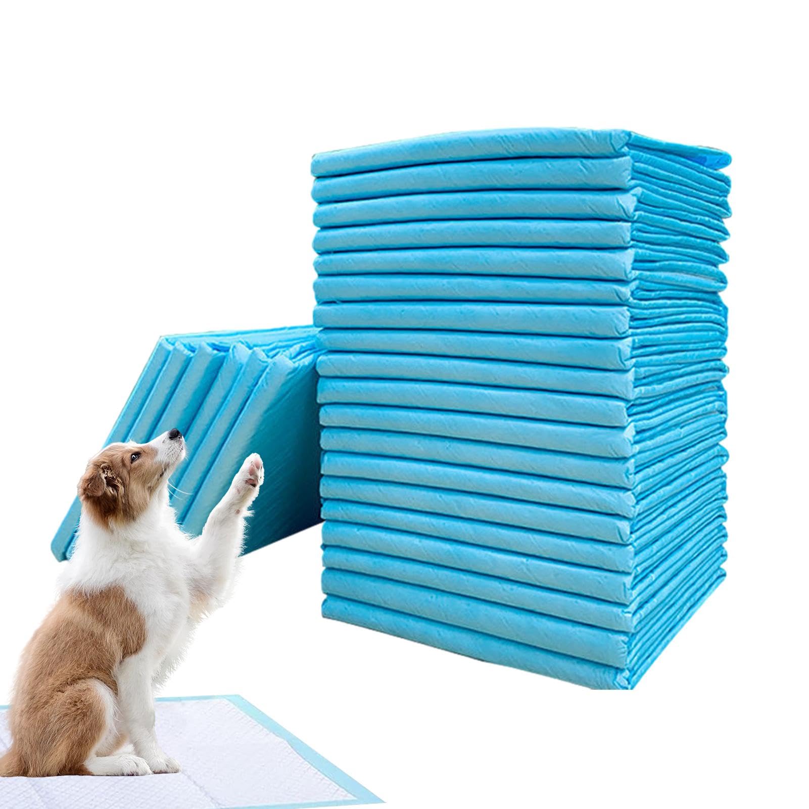 Tapis d'urine pour chiot tapis apprentissage propreté chat lapin