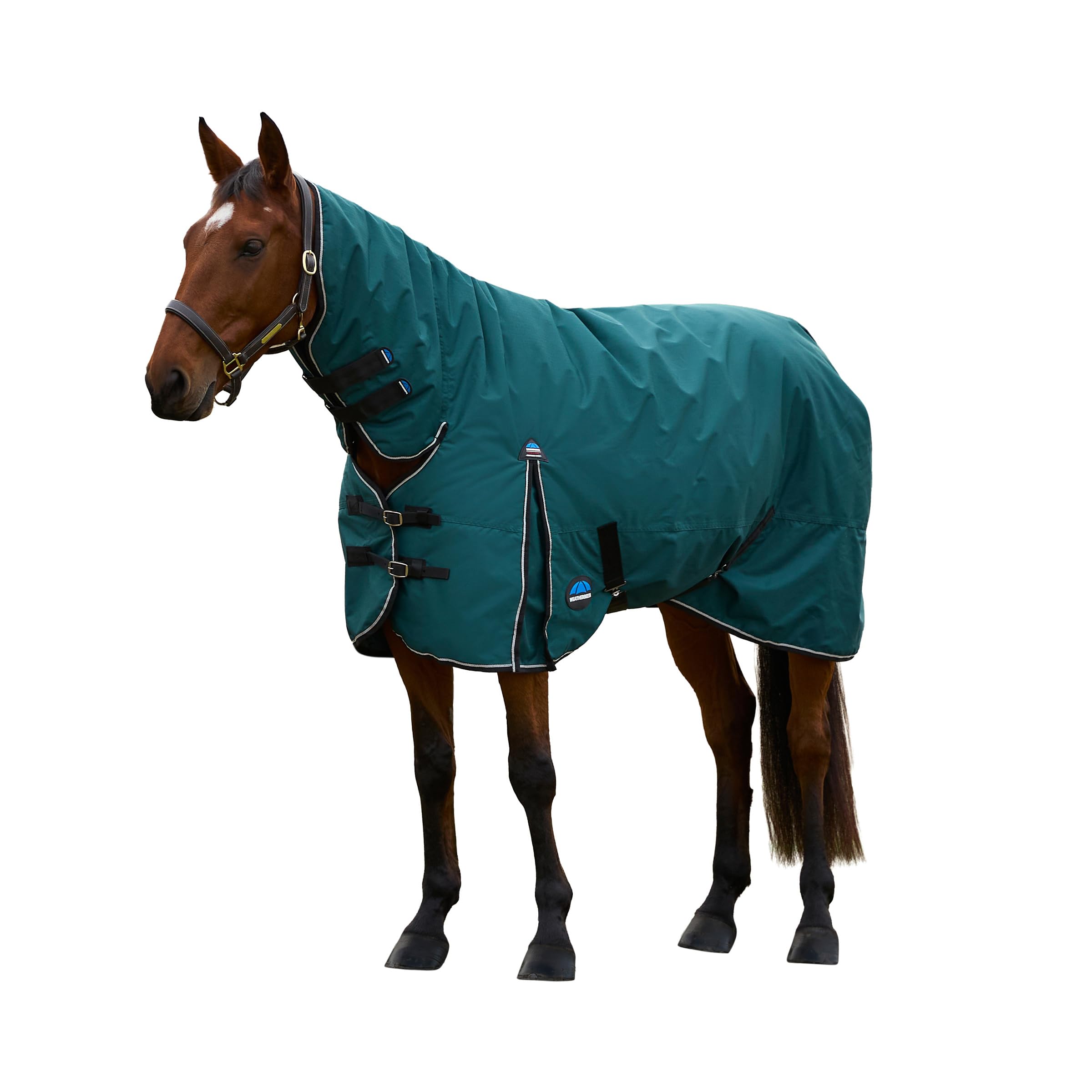 WeatherBeeta ComFiTec Classic Turnout Combo 220G, Forest Green/Black, 6'3