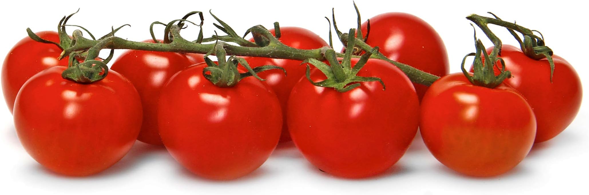 Campari Tomatoes, 32 OZ