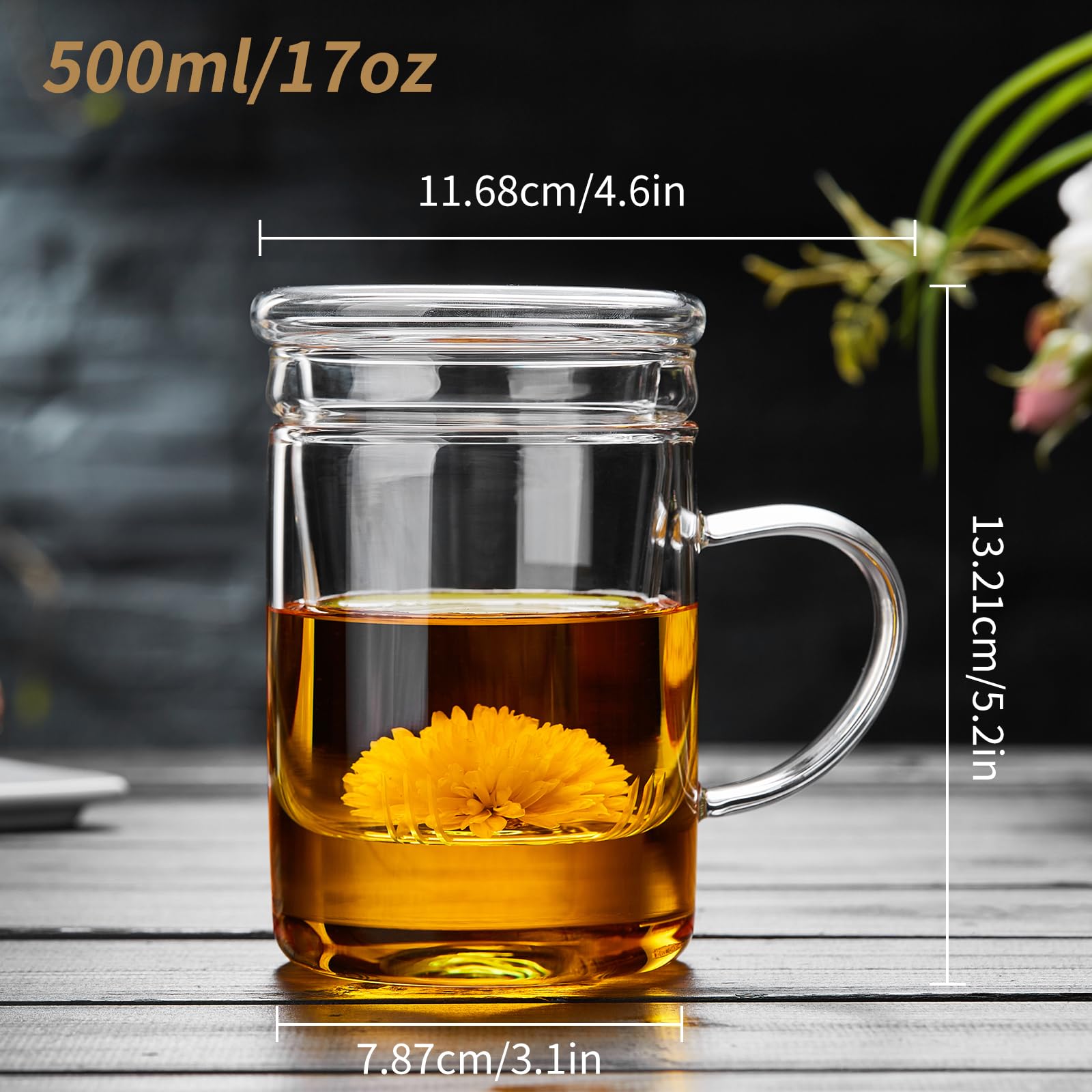 DOPUDO Glass Tea Cup with Infuser and Lid, 17.6oz/520ml Large Borosilicate Teacup,Tea Glass, Clear Mug for Loose Leaf Tea, Blooming Tea, Microwave & Dishwasher Safe - Tea Maker Gift for Birthday.: Glass Tea Cup with Infuser and Lid, 17.6oz/520ml Large Borosilicate Teacup, Clear Mug for Loose Leaf Tea, Blooming Tea, Tea Bags - Perfect Christmas or Birthday Gift for Women
