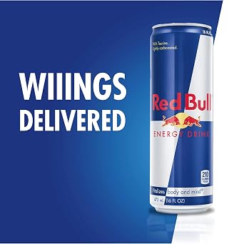 Red Bull Energy Drink, 16 Fl oz