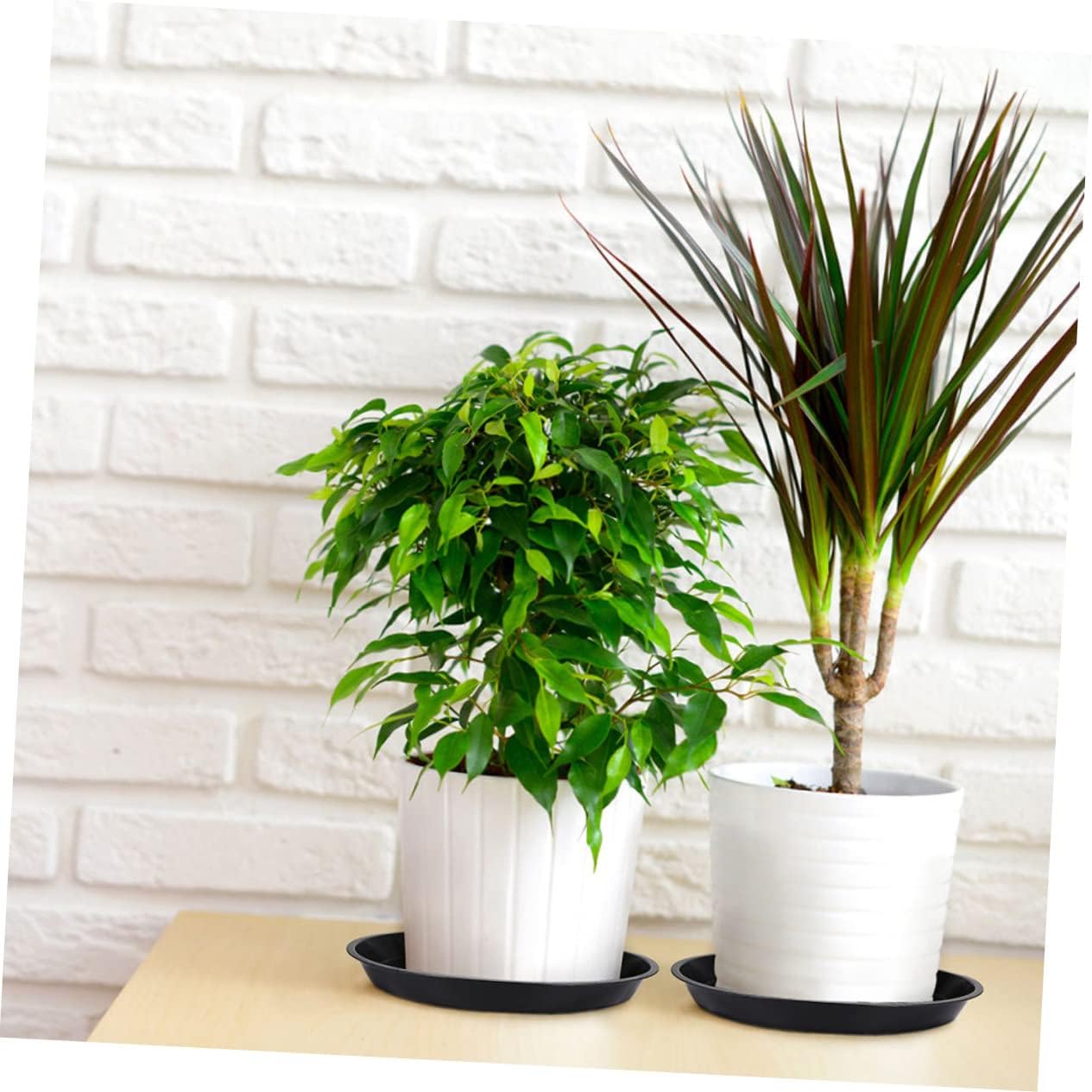 10pcs Large Flower Pot Bases for Plants Round Shape Drip Trays Plant Drip Trays