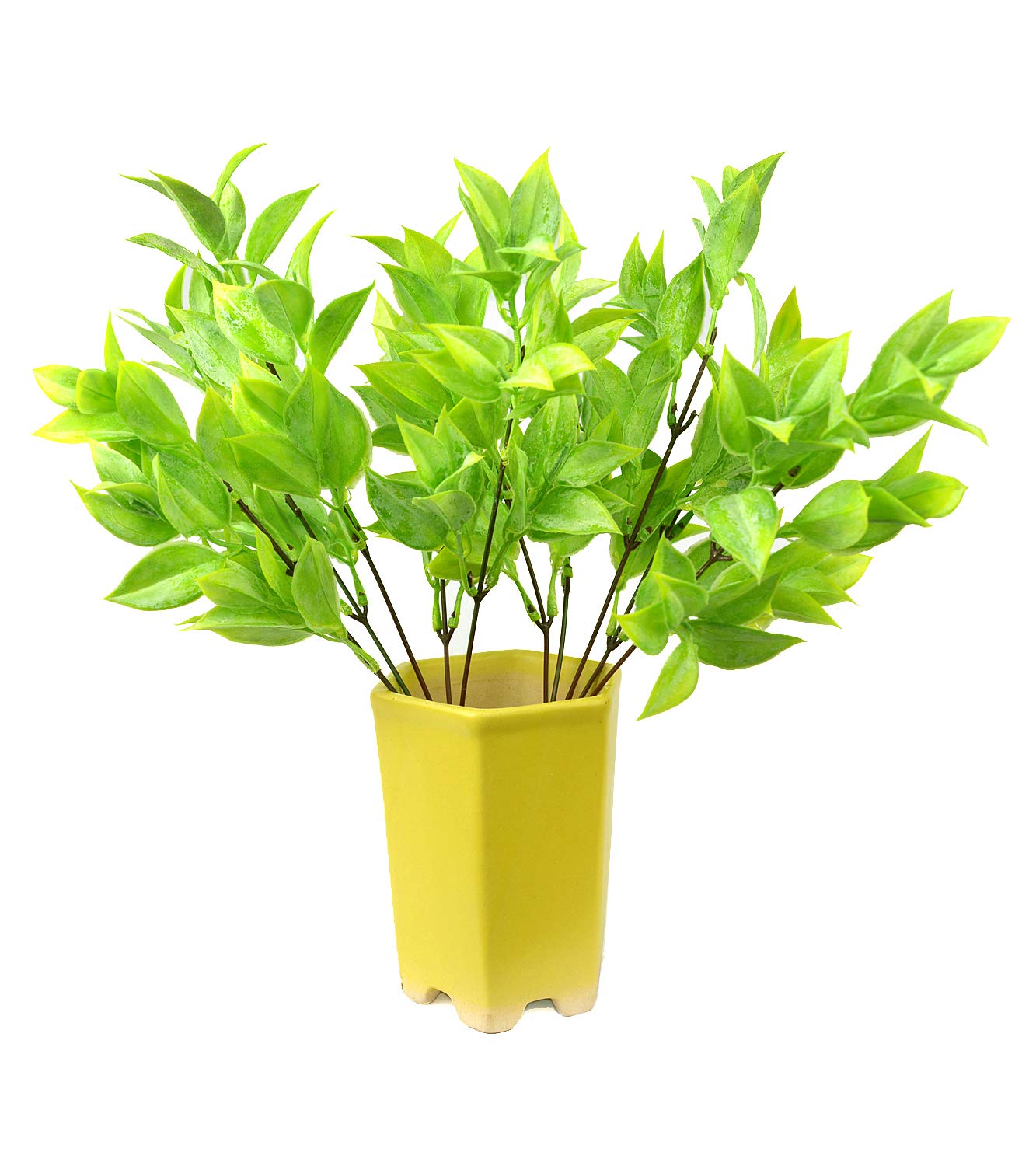 DecoreBugs' Pair of Artificial Plant Bunches (Set of 2) Latex Plant -Without Pot(Height 30 cms / 12 inchs)