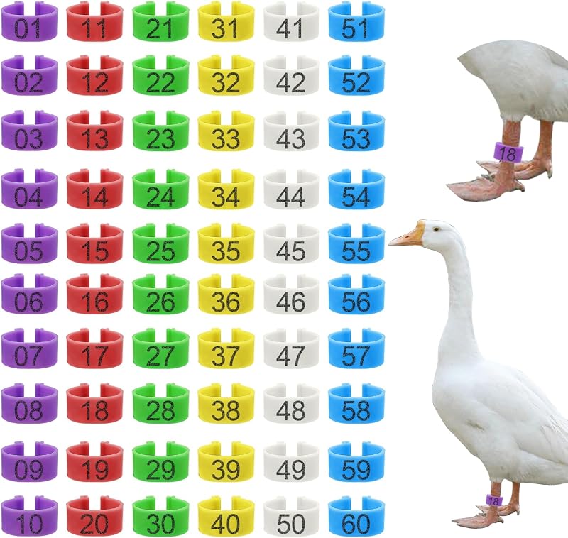 60 Pcs 25mm Extra Large Chicken Leg Bands, 6 Colors 01-60 Numbered Turkey Leg Rings Duck Identification Bands Poultry Ankle Tags Wide for Turkey Guinea Goose Duck Chicken Gamefowl