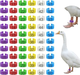 60 Pcs 25mm Extra Large Chicken Leg Bands, 6 Colors 01-60 Numbered Turkey Leg Rings Duck Identification Bands Poultry Ankle Tags Wide for Turkey Guinea Goose Duck Chicken Gamefowl