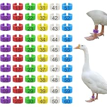 60 Pcs 25mm Extra Large Chicken Leg Bands, 6 Colors 01-60 Numbered Turkey Leg Rings Duck Identification Bands Poultry Ankle Tags Wide for Turkey Guinea Goose Duck Chicken Gamefowl