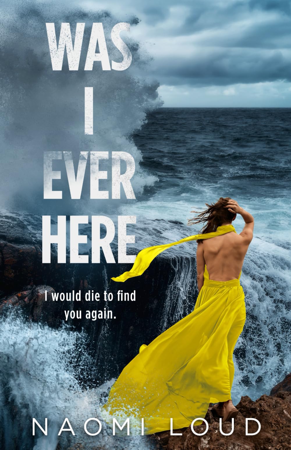 Was I Ever Here: A Dark Romance