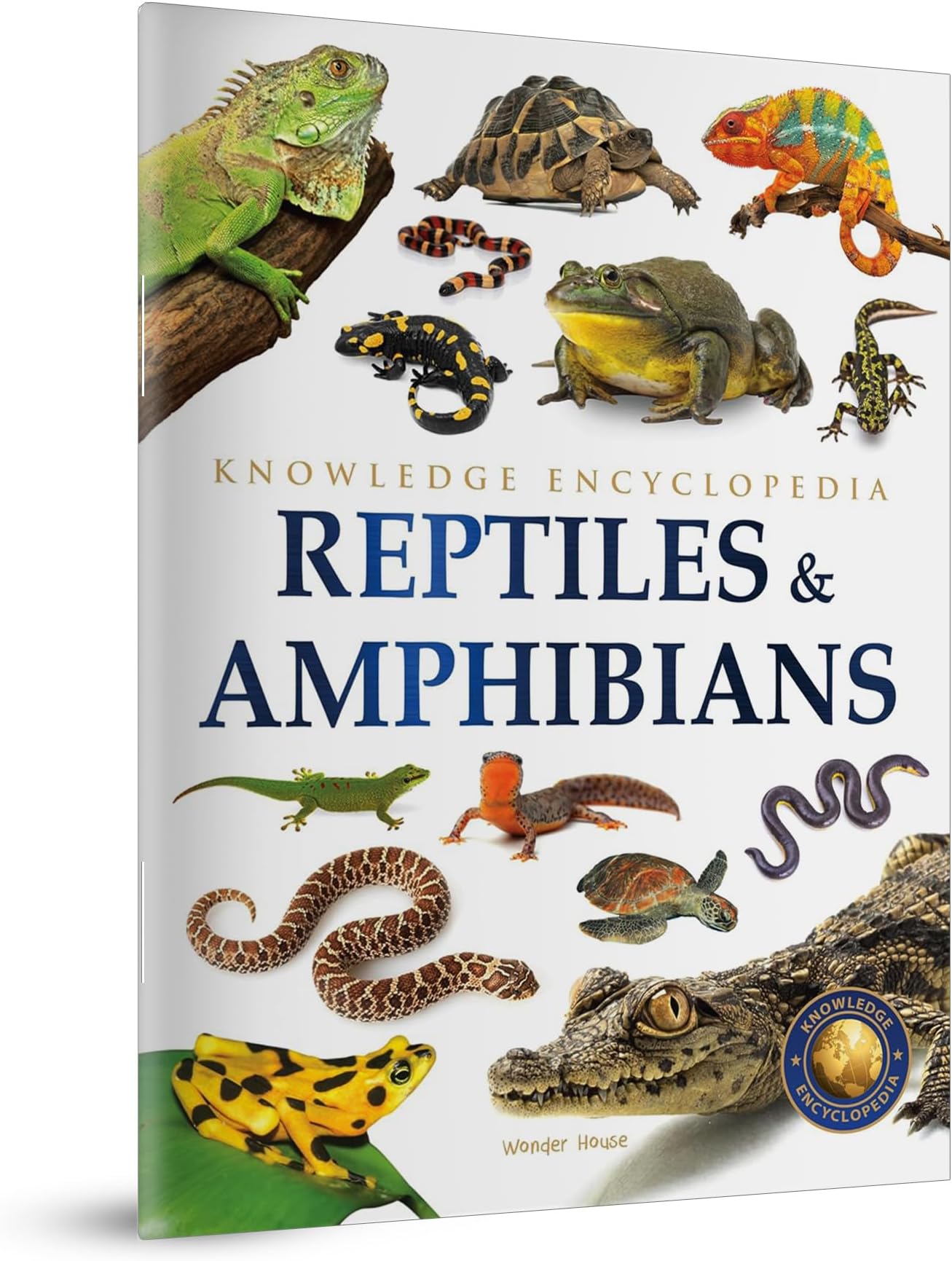 Wonder House Books Animals - Reptiles and Amphibians : Knowledge Encyclopedia For Children
