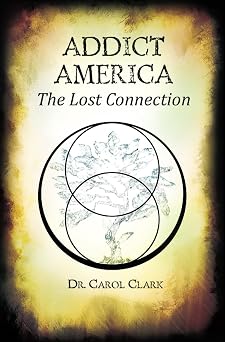 Addict America The Lost Connection