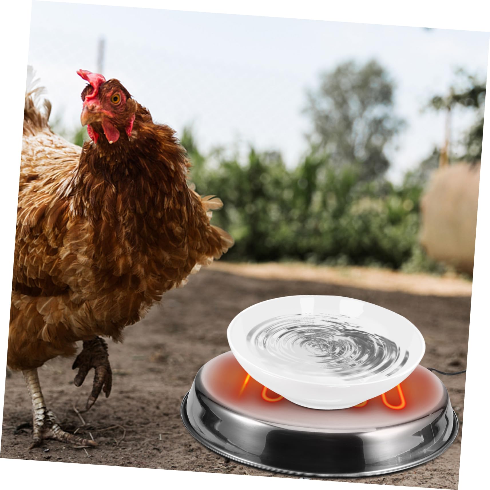 Base Calefactora para Bebedero de Aves de Corral en Invierno Acero Inoxidable y Calor Constante para Patos y Pollos Eu Plug 220-240v
