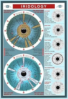 Natures Energies Iridology Reference Guide Mini Chart Poster 9 x 6