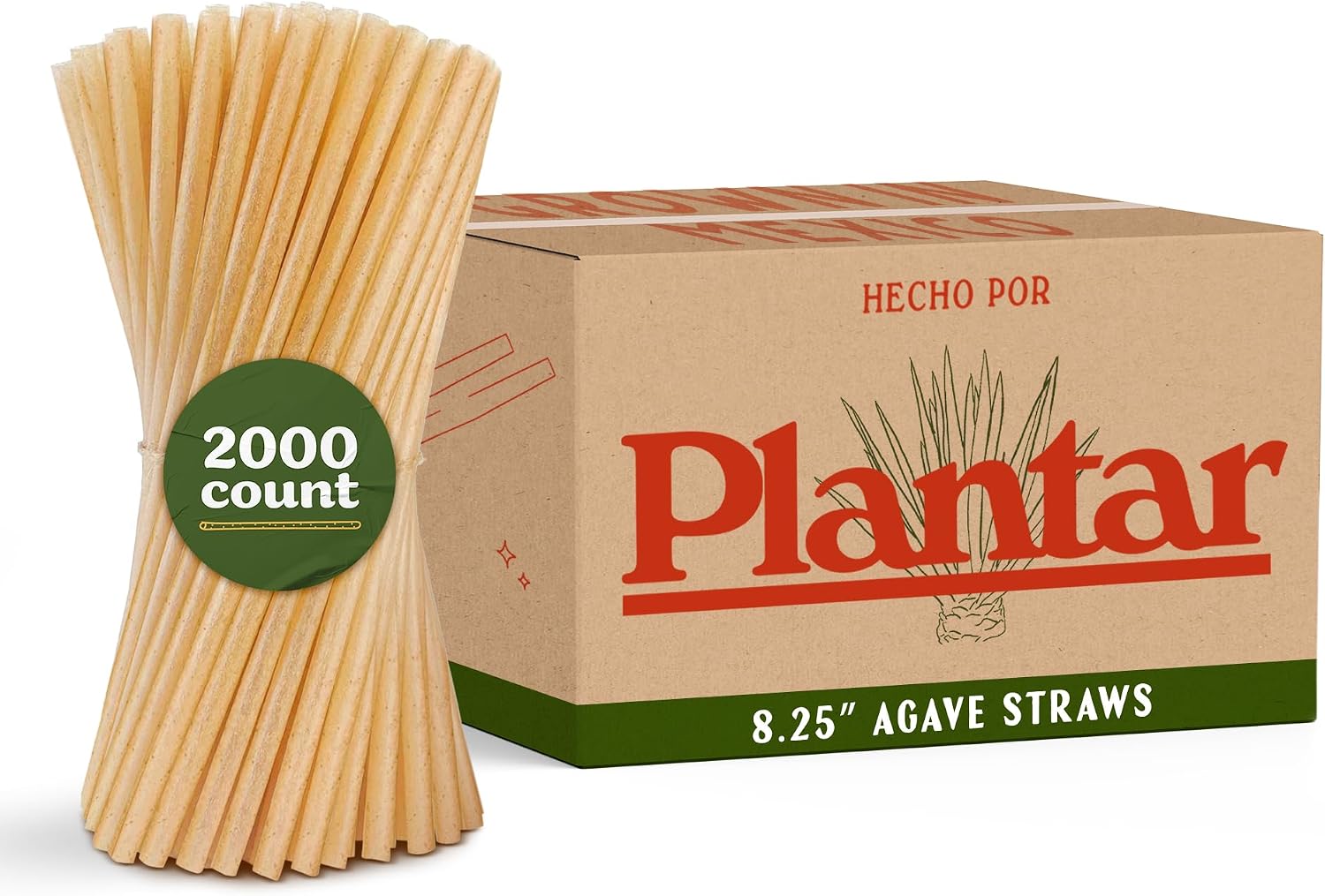 Bulk Pack of 8" Agave Straws (Unwrapped) | 2,000 Count | Sustainable & Compostable Drinking Straws made from Upcycled Agave | Long-Lasting, Durable Drinking Straws that Won't Get Soggy