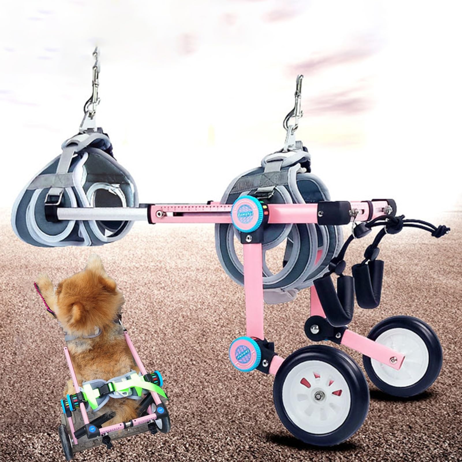 Chariot de mobilité à 2 roues contre la paralysie des pattes arrière