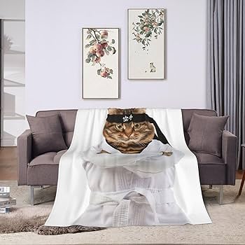 Amazon｜毛布 おもしろ 猫 猫柄 面白い ねこ アニメ 軽量 ブランケット