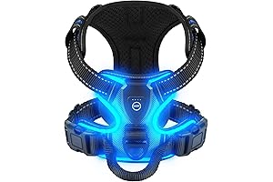 Essential Dog Harness: Stay Safe and Illuminated on Nightly Adventures