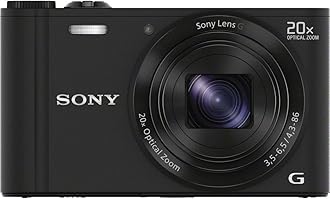 Sony Cyber-shot DSC-WX300 18.2MP Digital Camera - Black (black)